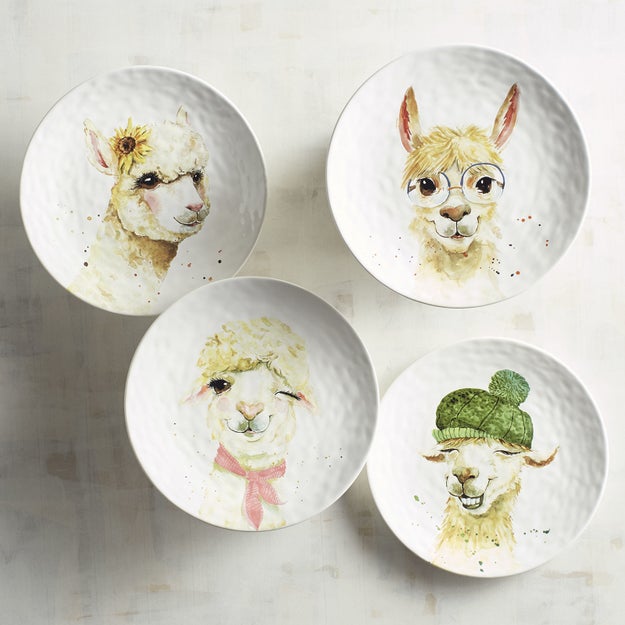 This charming set of alpaca dishes that will brighten up anyone's table.