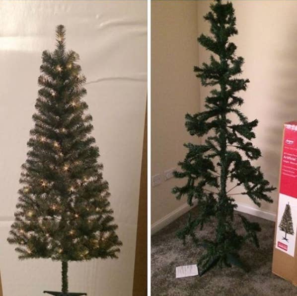 16 Times People Tried To Enjoy Christmas But Got Screwed