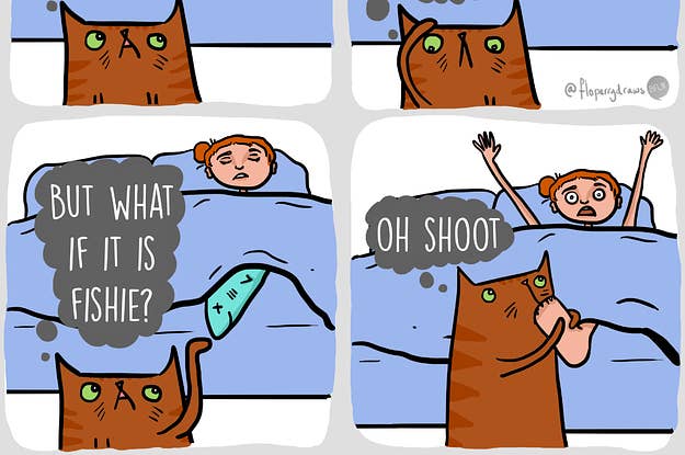 Only A True Cat Lover Will Get 7 10 In This Quiz