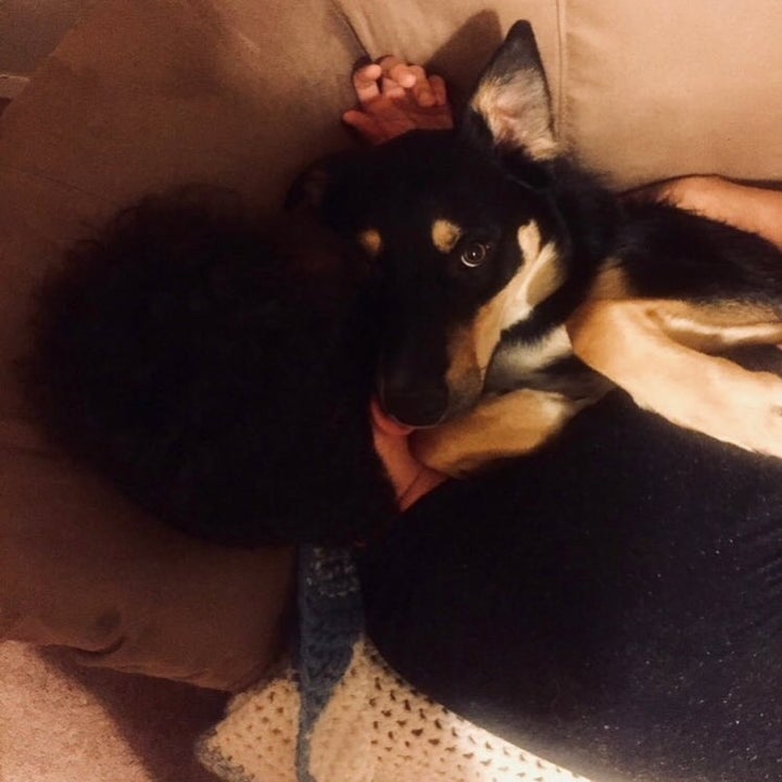 %e7%8b%97%e7%8b%97%e5%92%b3%e5%97%bd%e5%92%b3%e4%b8%8d%e5%81%9c