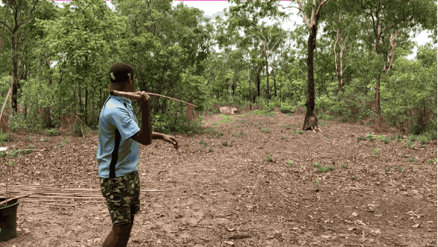 Some of the Indigenous communities in the Top End have created tours in an effort to try and educate visitors about their history, like Pudakul Aboriginal Cultural Tours. Here you can learn how to throw a spear, watch how traditional baskets and bags are weaved, or even try to play the didgeridoo. FYI, it's way harder than it looks.