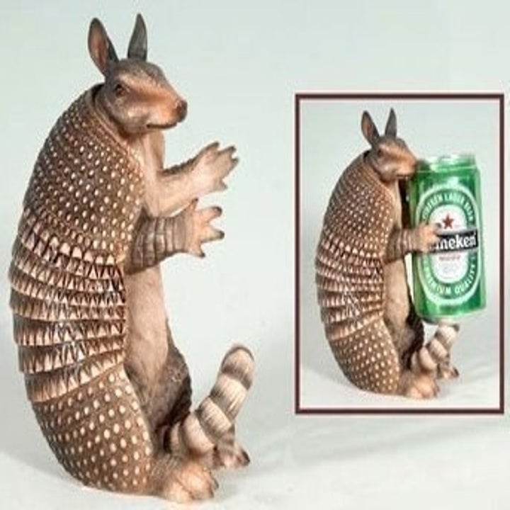 25 Things For People Who Just Can T Get Enough Armadillo