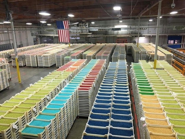 The inside of the Jelly Belly factory: