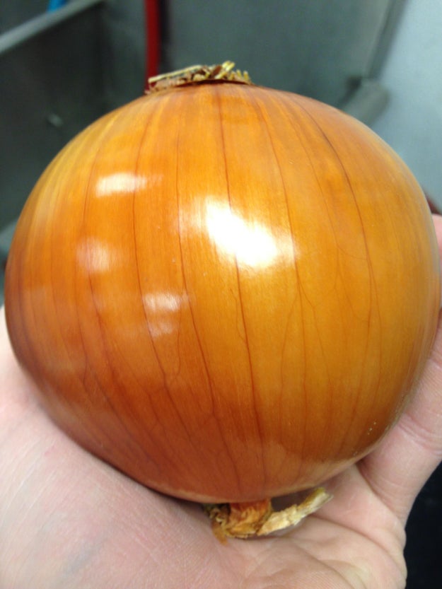 This blindingly beautiful onion: