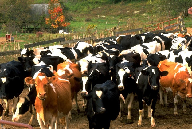 The moment the music stops, you and 20,000 others will be tasked with finding the ONE exit.