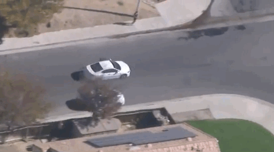 (He also appears to have briefly run after the car, because dog.)