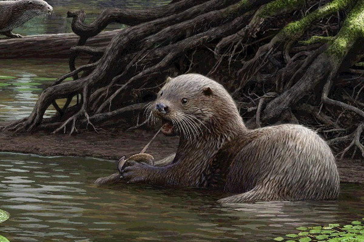 17年になるまで知られていなかった21の科学的事実