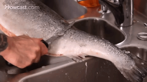 Pergunta: "Eu preciso escamar o peixe antes de cozinhá-lo? Eu posso cozinhar com a pele e as escamas e comer a pele?" ―sabrinag4db628455Resposta: "Sempre retire as escamas", diz Stock. A melhor (e mais fácil) coisa a se fazer é só passar a faca contra a pele e remover as escamas (não se incomode em comprar uma escamadora de peixe chique). Quando você ver um padrão de rede em vez de um padrão de escama brilhante, você estará pronto para cozinhar.Veja como fazer isso aqui.