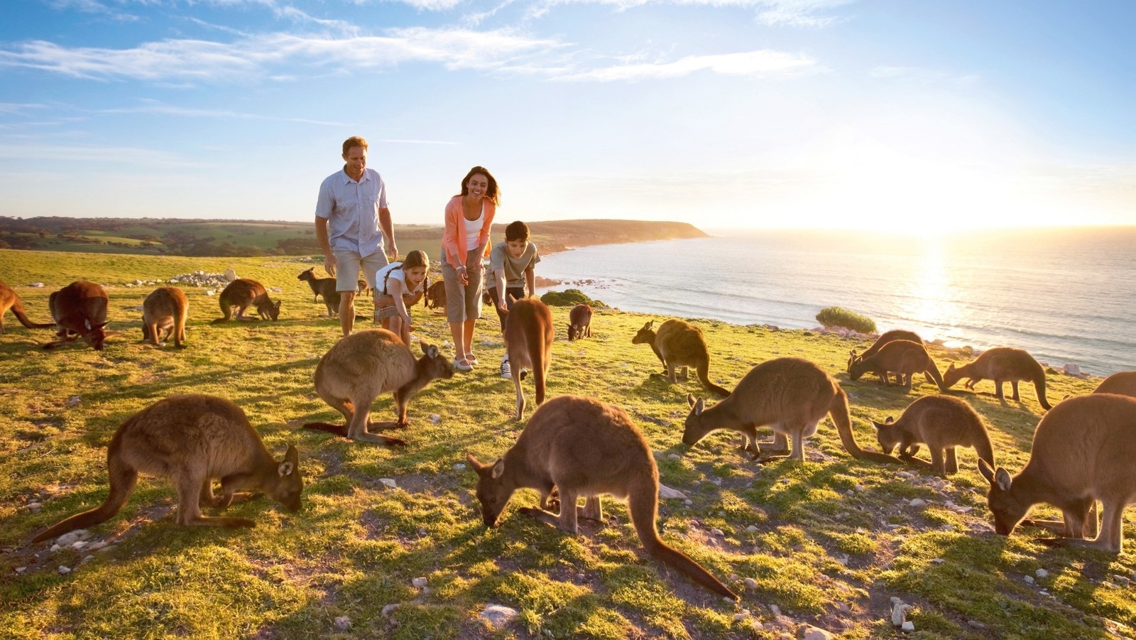 Only a short flight away from Adelaide, South Australia, the Kangaroo Island is a sanctuary meant for the Australian wildlife. The Kangaroo Island features many capture-worthy spectacles of the koalas, whales, dolphins in their natural habitats.