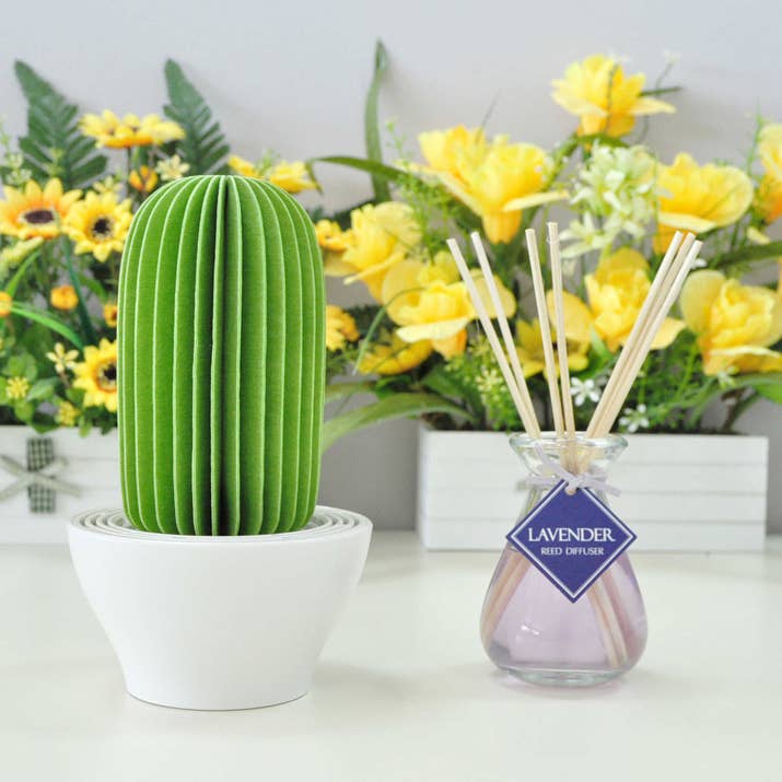 You don't need to plug this humidifier in — just pour in water and let it evaporate through the felt folds of the cactus. It has an antibacterial coating so it won't get moldy. Get it from Walmart for $9.88 or Bed Bath and Beyond for $19.99.