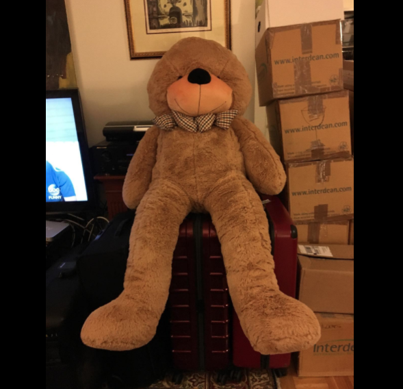 stuffed bear long legs