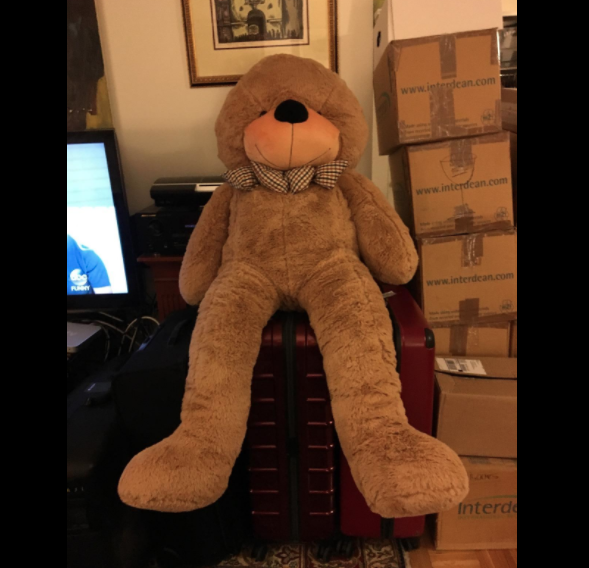 stuffed bear with long legs