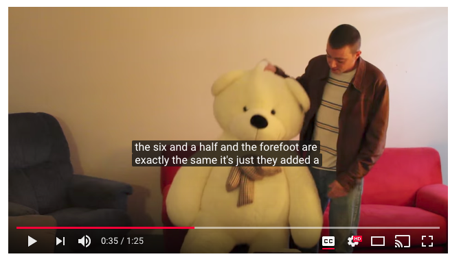 6 feet teddy bear funny