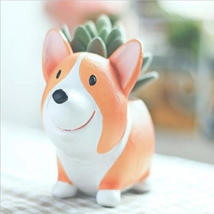 20 Gifts For Anyone Who Knows Corgis Are The Purest Things In This