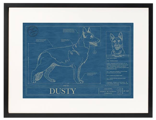Dog blueprint with the name 