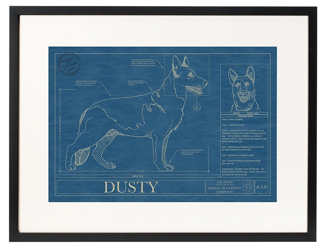 Dog blueprint with the name &quot;Dusty&quot;