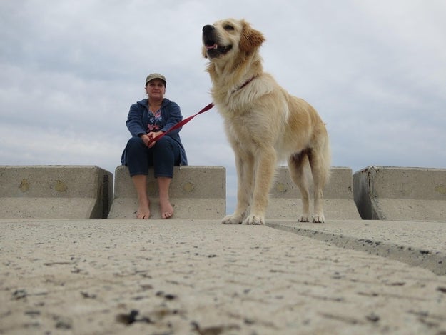 This very good, huge boy.