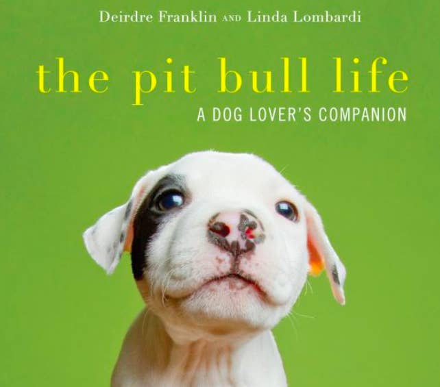 obsessed with pit bulls