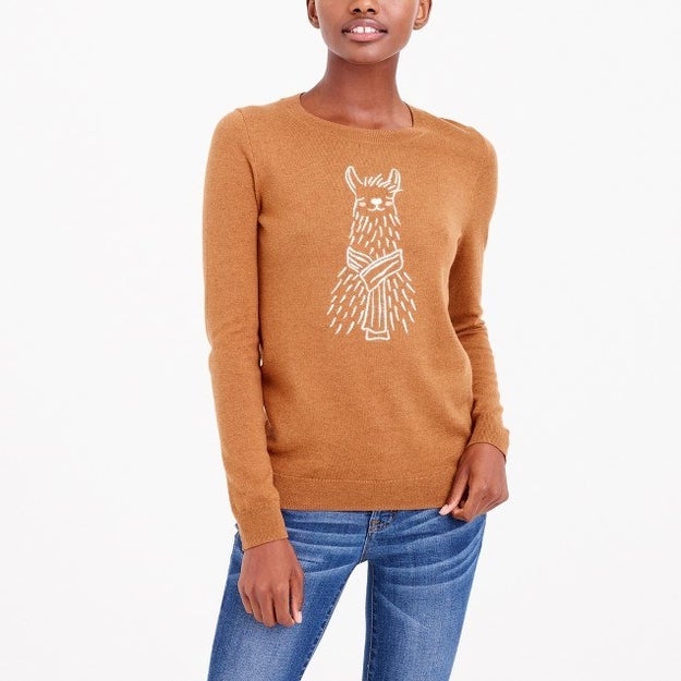 This embroidered alpaca sweater featuring the warmest looking alpaca I've ever seen.