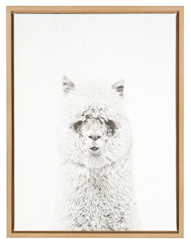 Hang this art print in your living room to prove how photogenic alpacas are.