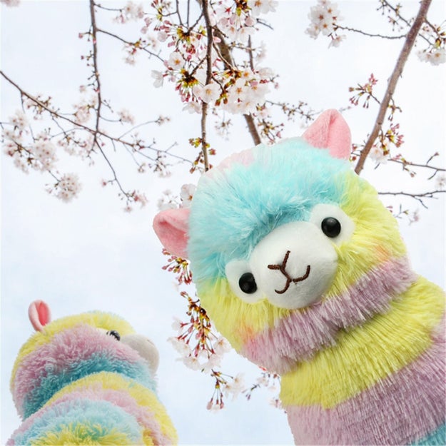 Who can be grumpy while looking at this sweet rainbow alpaca plush?