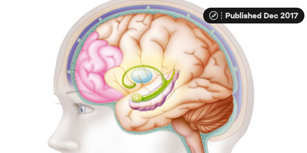 If You Can Score At Least 10 On This Quiz You Might Be A Brain Surgeon If You Can Score At Least 10 On This Quiz You Might Be A Brain Surgeon