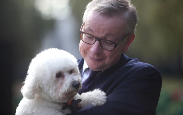 How A Misleading Story About Animal Sentience Became The Most Viral Politics Article Of 2017, by Jim Waterson