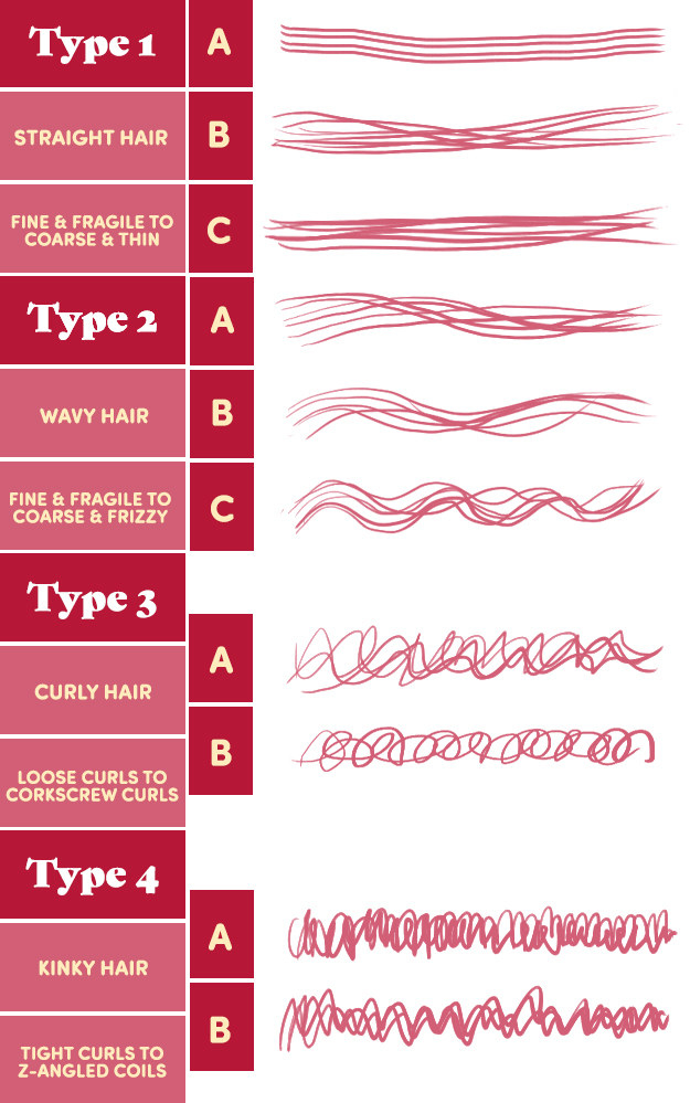 In between creating iconic hair looks for the world's most influential woman, Andre also created the first hair typing system as a way for people to better understand and care for different natural hair textures.