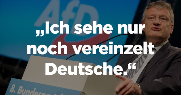 Kannst Du Raten, Wie Viele Dieser AfD-Zitate 2017 Wirklich Gesagt Wurden?