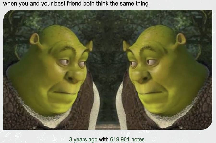 19 Jokes That Were Probably Made For Only You And Your Best Friend