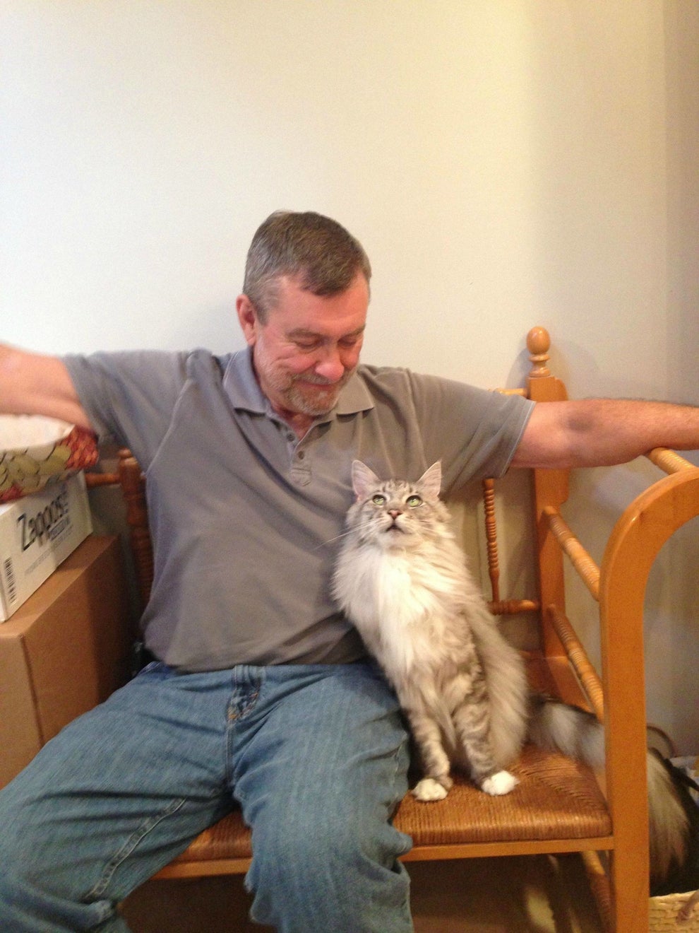 17 Pics Of Maine Coon That Might Literally Kill Me If I Look At Them