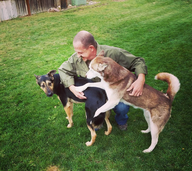 This dog who wants to make sure you pet everyone equally.