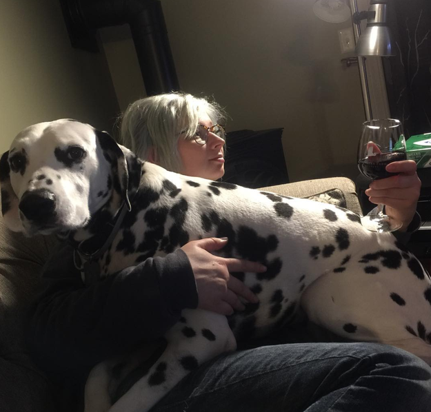 This dog who wants you to know he is the perfect buddy to relax with.
