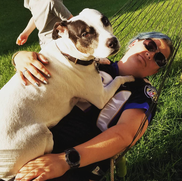 This dog who has the same definition of "chill" as you do.