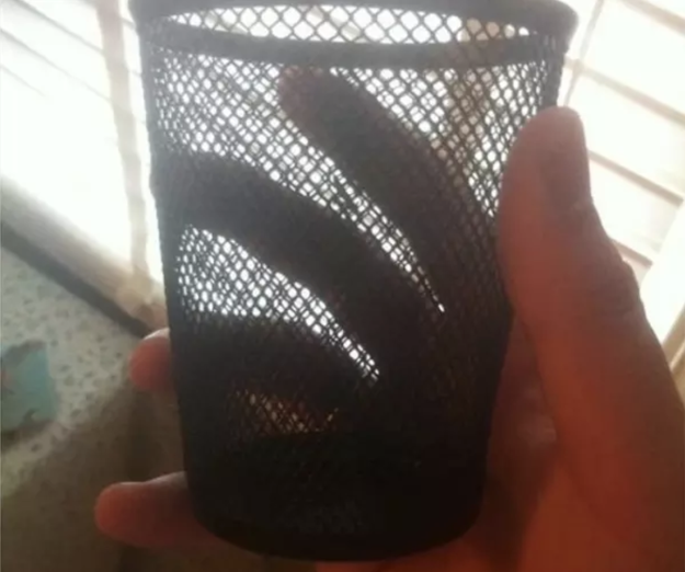 The mom who told her son this was the only cup he could drink alcohol out of in college: