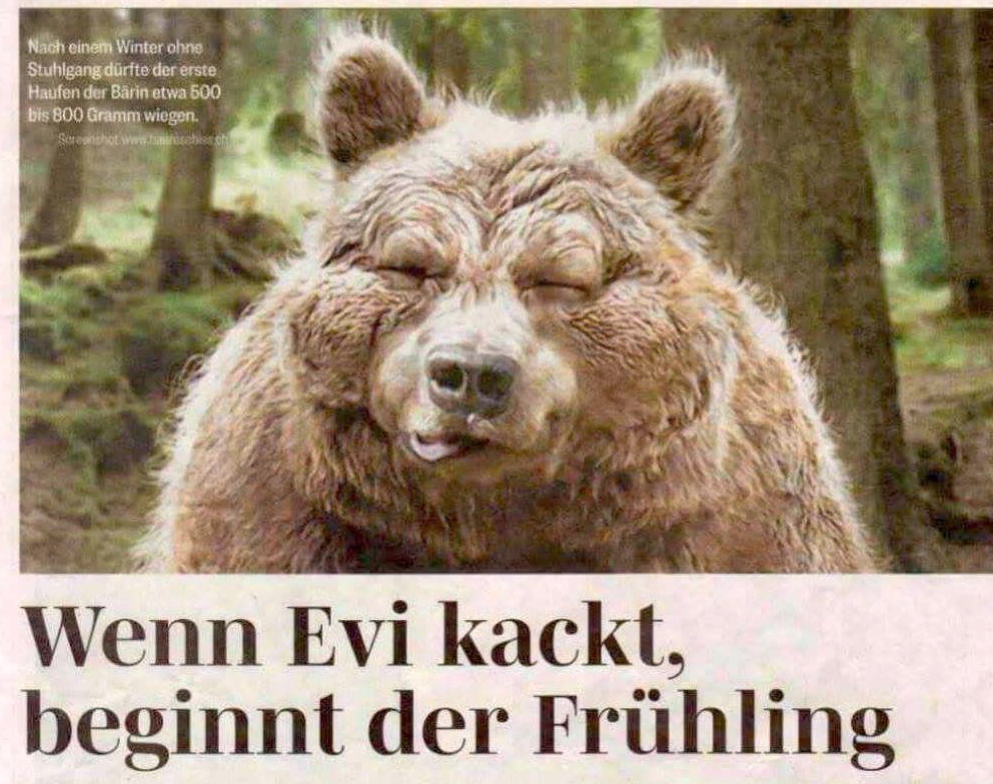 29 Momente, als Zeitungen 2017 einfach sehr lustig waren
