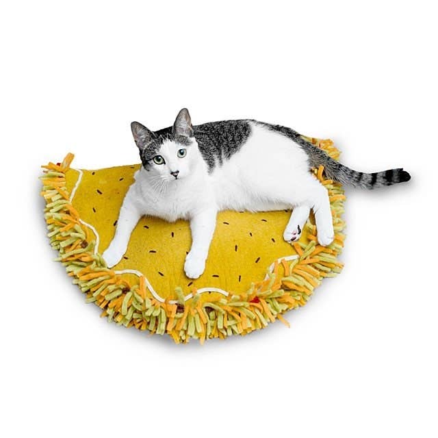 Taco Meow Taco Cat Bed Taco Truck Cat Bed Top