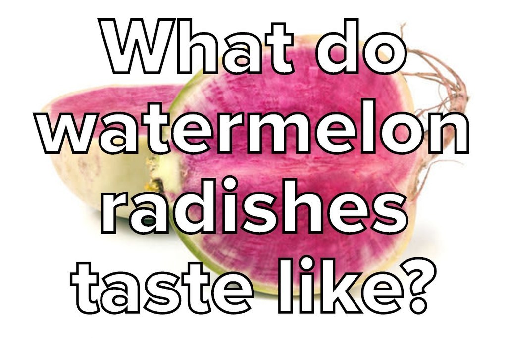 What Do Watermelon Radishes Taste Like