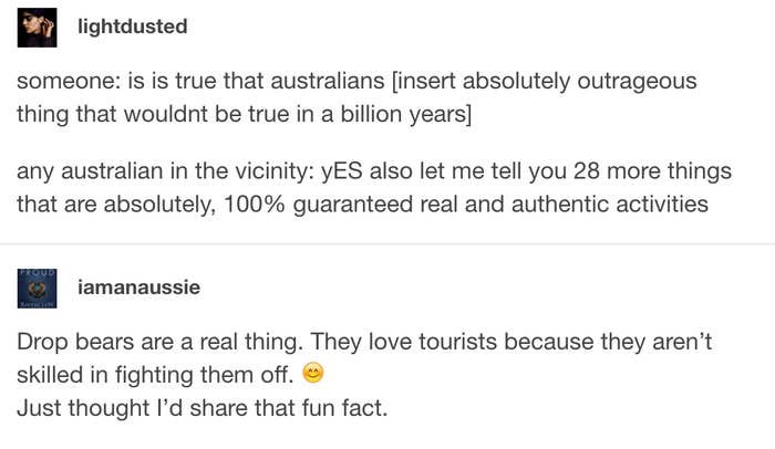 45 Fucking Hilarious Tumblr Posts From Australians In 2017