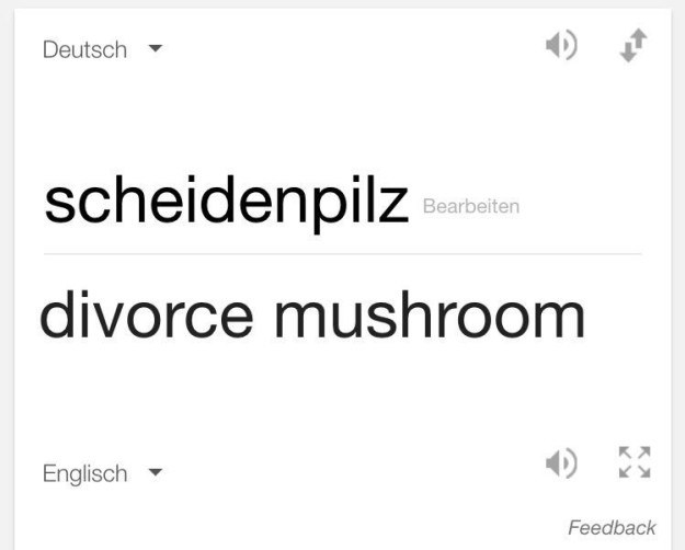 25 Beweise, dass die deutsche Sprache auch 2018 die schrägste Sprache