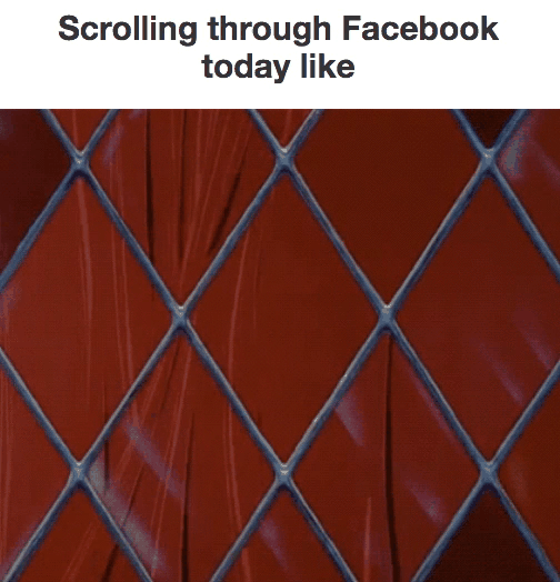 Subjecting yourself to an onslaught of holiday party pictures and family portraits is probably going to make you more lonely, says Bonior. If you want to do a full-on social media cleanse, by all means do it. It can be refreshing and necessary to get a break from that stuff. But you could also, for example, just go easy on Facebook and Instagram, where you’re most likely to see festive pictures that feel like picking a scab when you look at them — but stay on Tumblr and Twitter where you can find solidarity in absurdist memes and other people having miserable holidays, too.