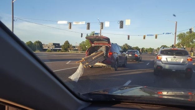 This guy holding on for dear life: