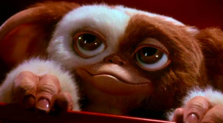 Crazy Gremlin Coub The Biggest Video Meme Platform