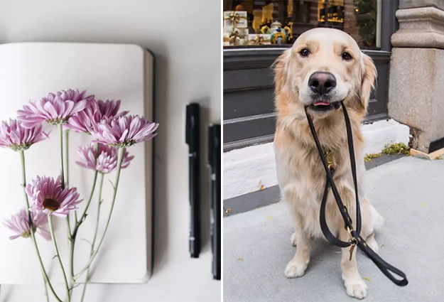 これはメモ 心がちょっと回復する13の生活習慣