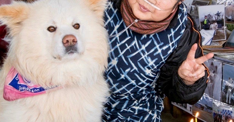 わさお の飼い主菊谷節子さん死去 2人の愛と絆が伝わってくる写真たち