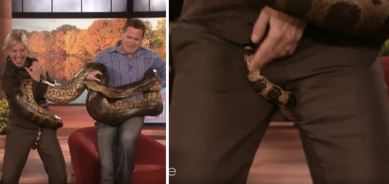 When Ellen was interviewing Jeff Corwin and this happened: