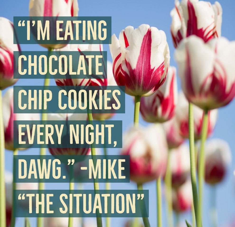 15 Iconic "Jersey Shore" Quotes As Motivational Posters