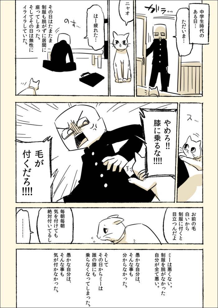 ミー にごめんね ありがとう 飼い猫の生涯を描いたマンガが涙を誘う ミー にごめんね ありがとう 飼い猫の生涯を描いたマンガが涙を誘う