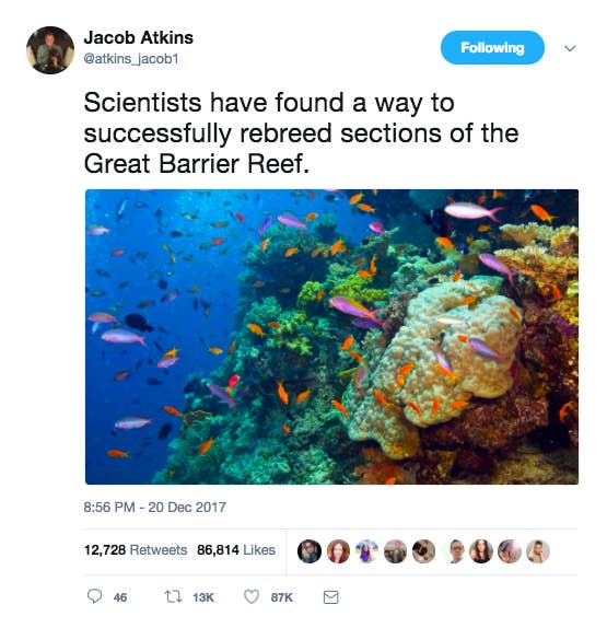 Source.