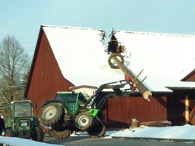 Whoever attempted this at-home tree removal: